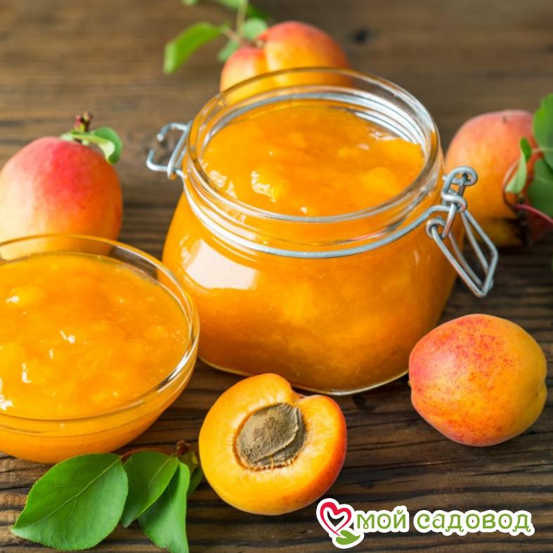 Абрикос Краснощекий (Великолепный джем)